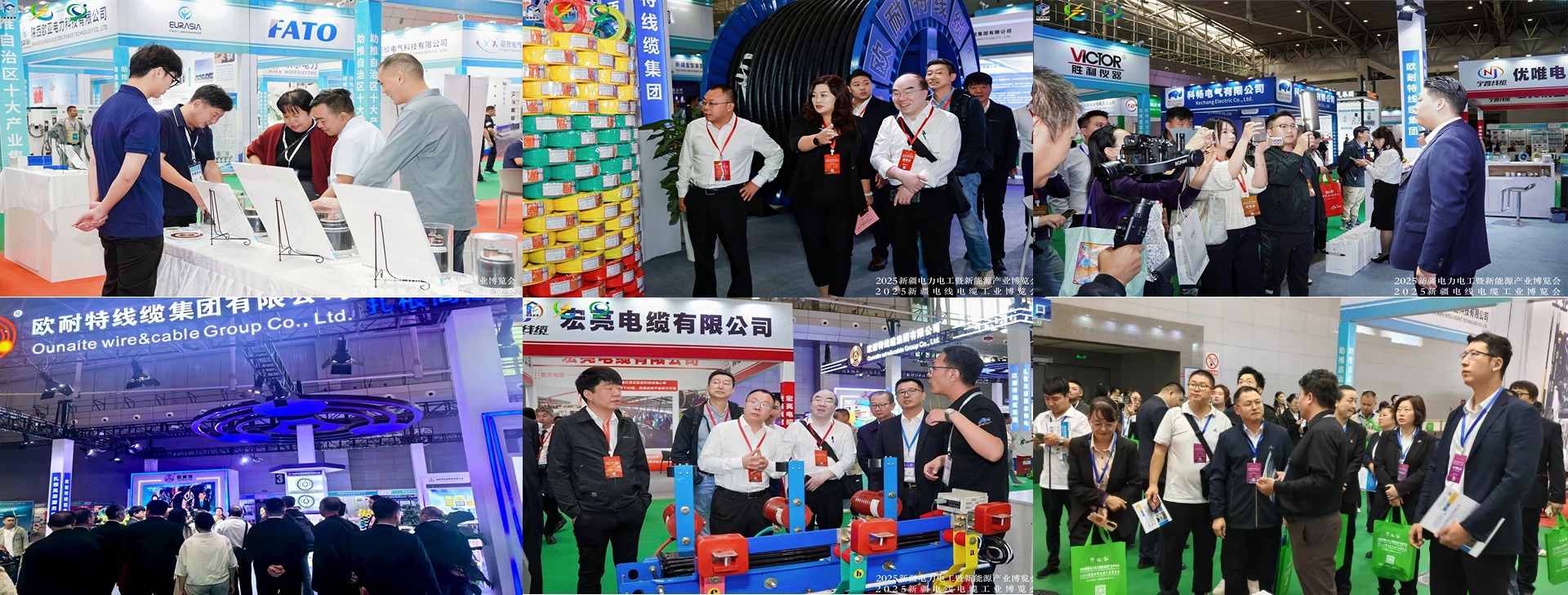 网站2.jpg 网站2.jpg